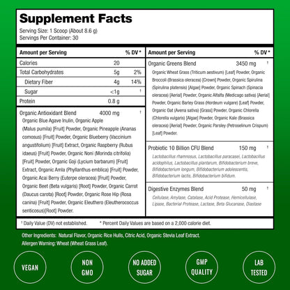 SuperGreens Powder, 40+ Organic Superfoods, Probiotics & Enzymes for Energy, Digestion, Gut Health & Bloating | Organic Fruit & Veggie Drink Mix, Daily Green Juice Smoothie Blend, Spinach, Noni Plus