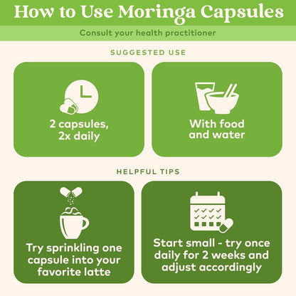 ORGANIC INDIA Moringa Capsules Organic - Moringa Leaf Supplement, Green Superfood Supplement, Pure Supergreen, Vegan Greens, Nature's Multivitamin, Vegan, Gluten-Free - 60 Capsules